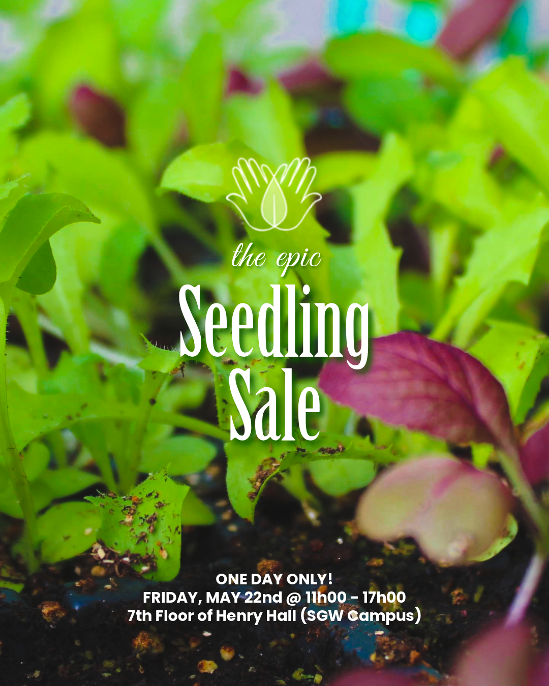 Epic Seedling Sale&nbsp;2026